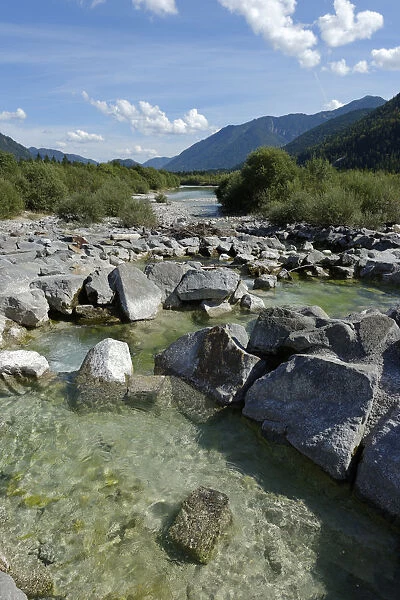 Upper Isar River, at the sediment barrier, nature reserve, Isar valley, Tolzer Land, Upper Bavaria, Bavaria, Germany