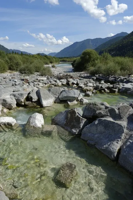 Framed Print : Upper Isar River, at the sediment barrier, nature reserve, Isar valley, Tolzer Land, Upper Bavaria, Bavaria, Germany Framed Print : Upper Isar River, at the sediment barrier, nature reserve, Isar valley, Tolzer Land, Upper Bavaria, Bavaria, Germany