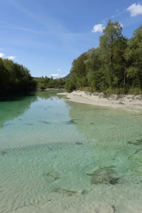 Framed Print : Upper Isar River, at the sediment barrier, nature reserve, Isar valley, Tolzer Land, Upper Bavaria, Bavaria, Germany