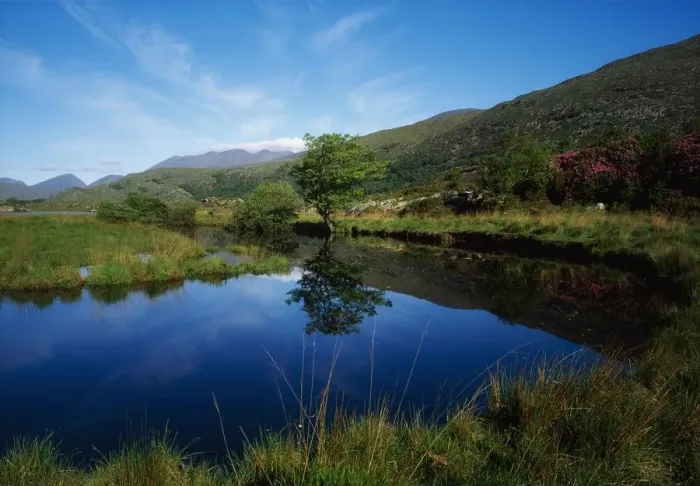 Framed Print : Upper Lough, Killarney, County Kerry, Ireland Framed Print : Upper Lough, Killarney, County Kerry, Ireland