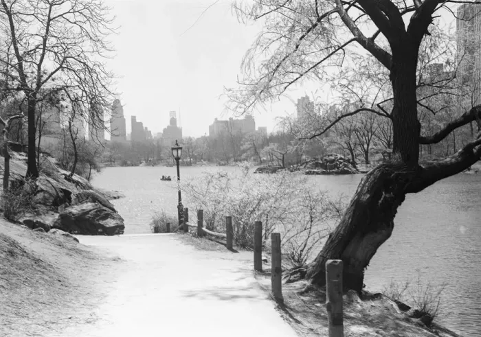Framed Print : Urban park with lake Framed Print : Urban park with lake