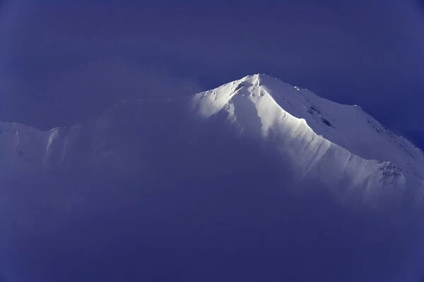 USA, Alaska, Denali National Park, summit of Mt. McKinley in fog, dawn