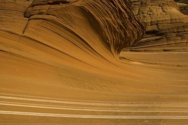 USA, Arizona, Vermilion Cliffs Wilderness, Navajo sandstone