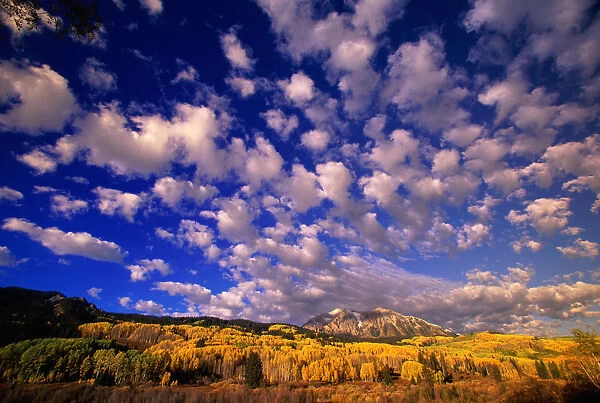 USA, Colorado, East Beckwith Mountain and aspen trees, autumn