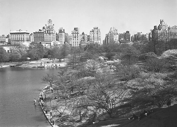 USA, New York City, Central Park (B&W)
