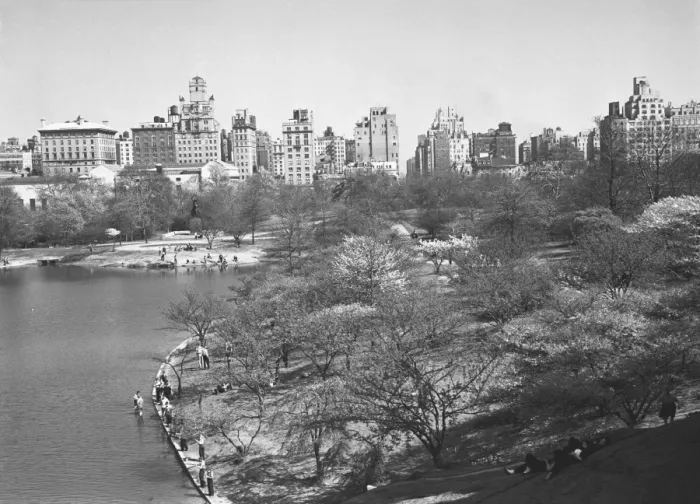 Framed Print : USA, New York City, Central Park (B&W) Framed Print : USA, New York City, Central Park (B&W)