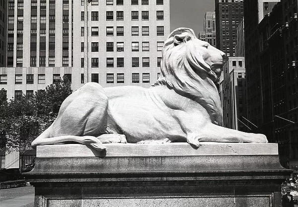 USA, New York City, lion statue outside New York Public Library