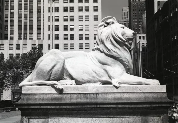 Framed Print : USA, New York City, lion statue outside New York Public Library