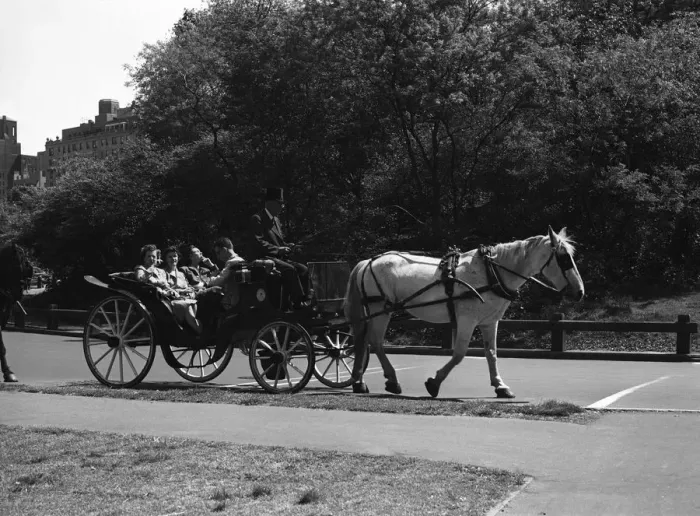 Framed Print : USA, New York State, new York, Central Park, people in cart Framed Print : USA, New York State, new York, Central Park, people in cart