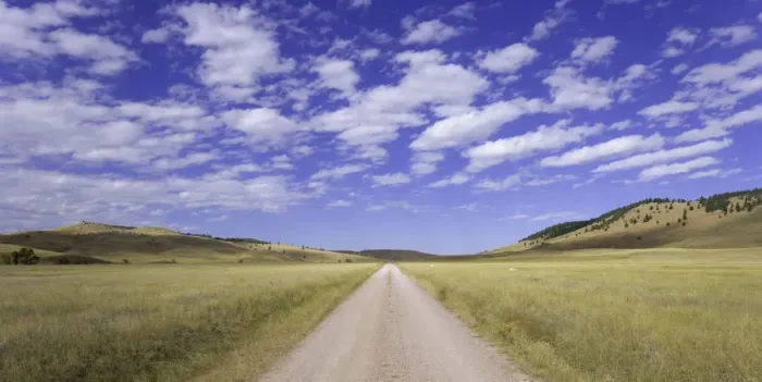 Framed Print : USA, South Dakota, Wind Cave National Park, dirt road across grassland Framed Print : USA, South Dakota, Wind Cave National Park, dirt road across grassland