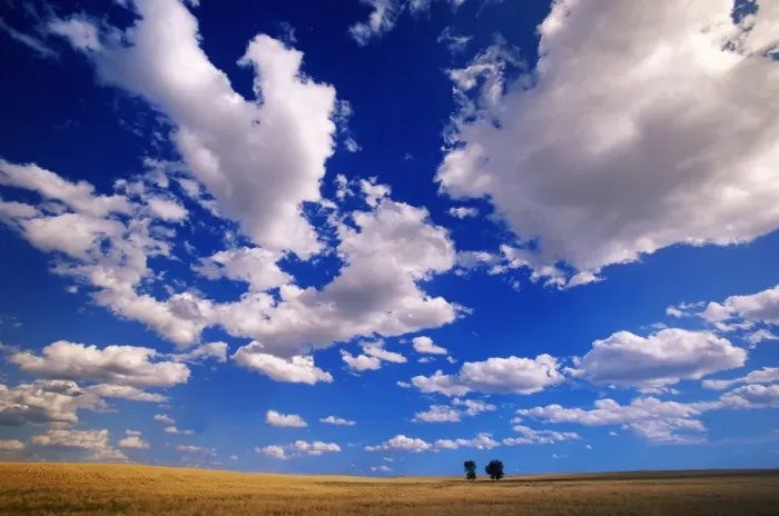 Framed Print : USA, Wyoming, cumulus clouds over 2 cottonwood trees on prairie Framed Print : USA, Wyoming, cumulus clouds over 2 cottonwood trees on prairie