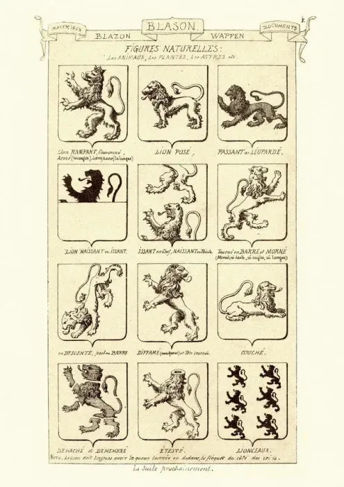 Framed Print : Use of lions in heraldry and coats of arms Framed Print : Use of lions in heraldry and coats of arms