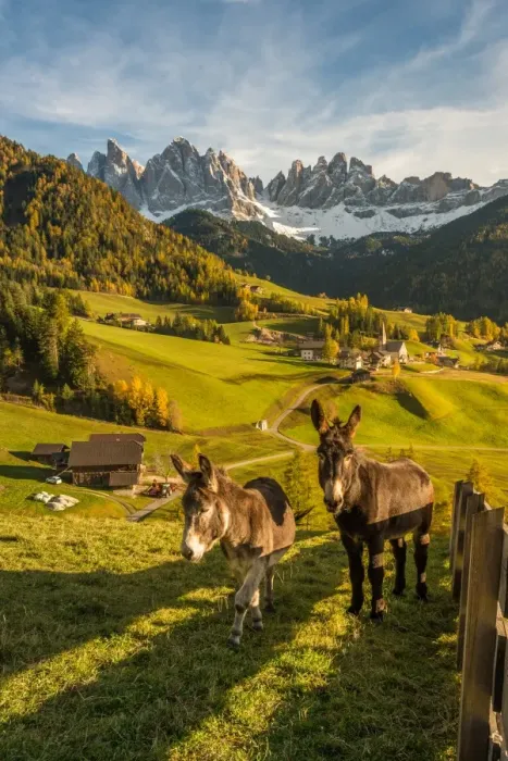 Framed Print : Val di Funes, Trentino Alto Adige, Italy, Europe