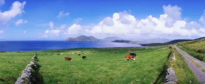 Framed Print : Valentia Island, Ring Of Kerry, County Kerry, Ireland