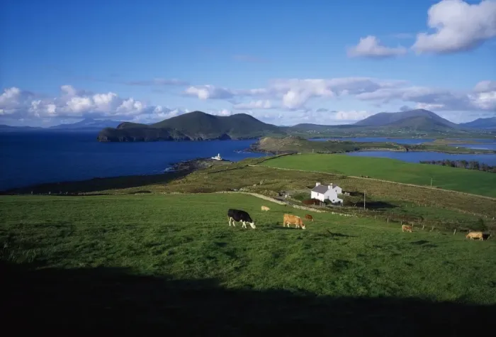 Framed Print : Valentia Island, Ring of Kerry, Co Kerry, Ireland Framed Print : Valentia Island, Ring of Kerry, Co Kerry, Ireland