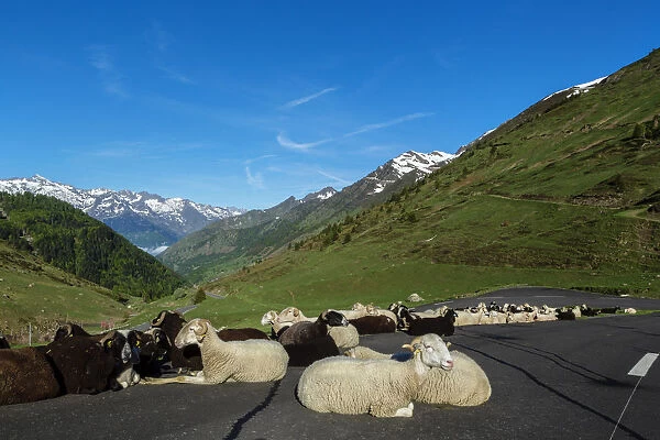 The Valley Of Bareges, Road to The Pic Du Midi and Col Du Tourmalet, Hautes Pyrenees, France
