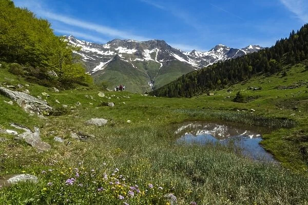 Valley of la Glere, national park of Pyrenees, Hautes Pyrenees, France