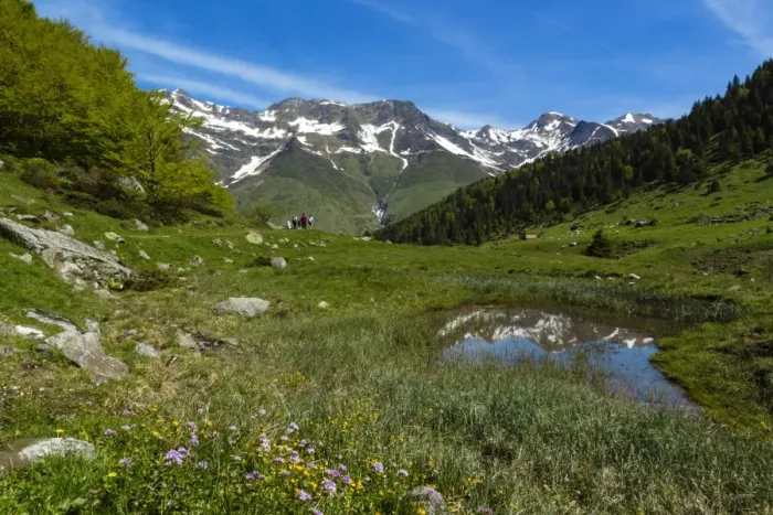 Framed Print : Valley of la Glere, national park of Pyrenees, Hautes Pyrenees, France Framed Print : Valley of la Glere, national park of Pyrenees, Hautes Pyrenees, France