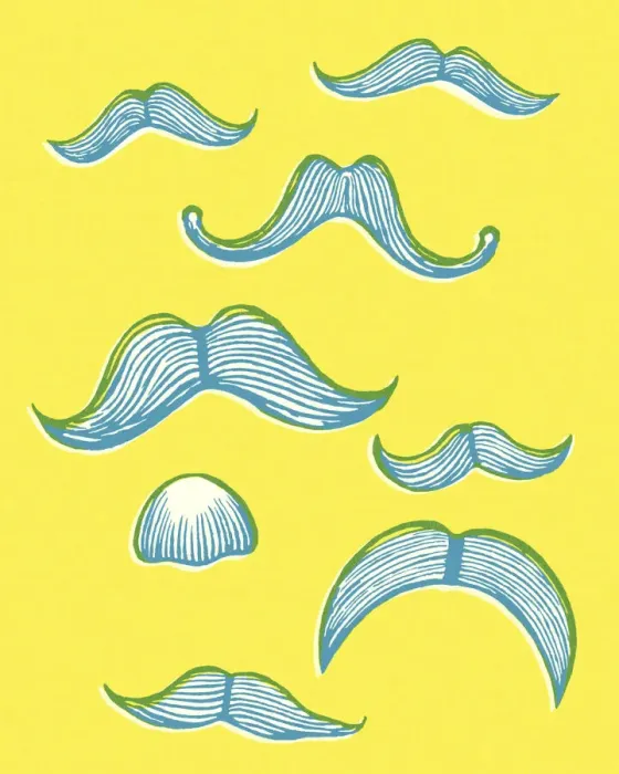 Framed Print : Variety of Mustaches