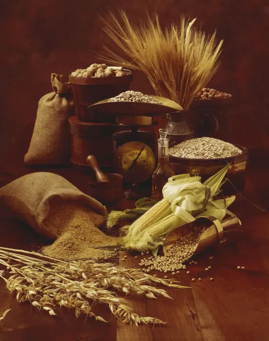 Framed Print : Various cereal with corn cobs Framed Print : Various cereal with corn cobs