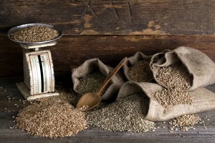 Framed Print : Various types of cereals, wheat, rye, unripe spelt grain and spelt, in jute bags on rustic wood Framed Print : Various types of cereals, wheat, rye, unripe spelt grain and spelt, in jute bags on rustic wood