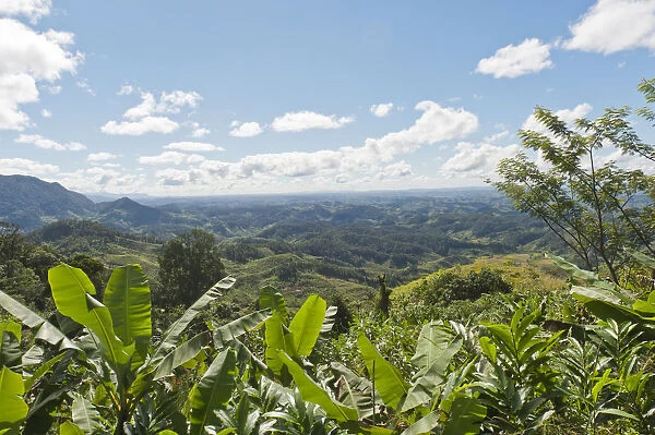 Vast mountainous landscape with banana trees at front, near Manakara, Madagascar