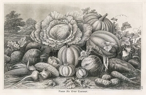 Vegetable garden engraving 1873