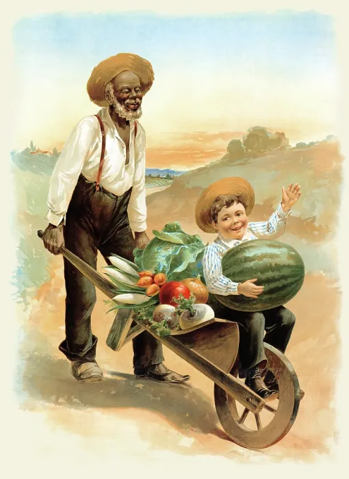Framed Print : Vegetables from the garden Framed Print : Vegetables from the garden