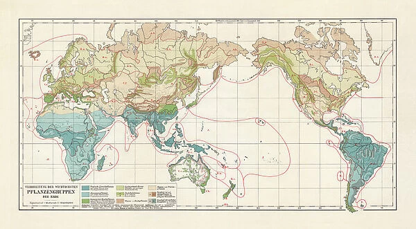 Vegetation zones of the world, lithograph, published in 1897