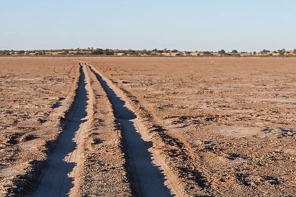 Vehicle tracks across a pan in the Kalahari. Stampriet District, Namibia