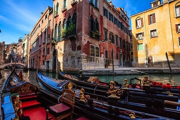 Venice is renowned for the beauty of its setting, its architecture and its artworks