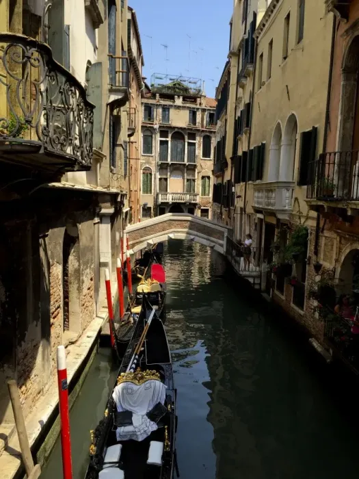 Framed Print : Venice Canals Framed Print : Venice Canals