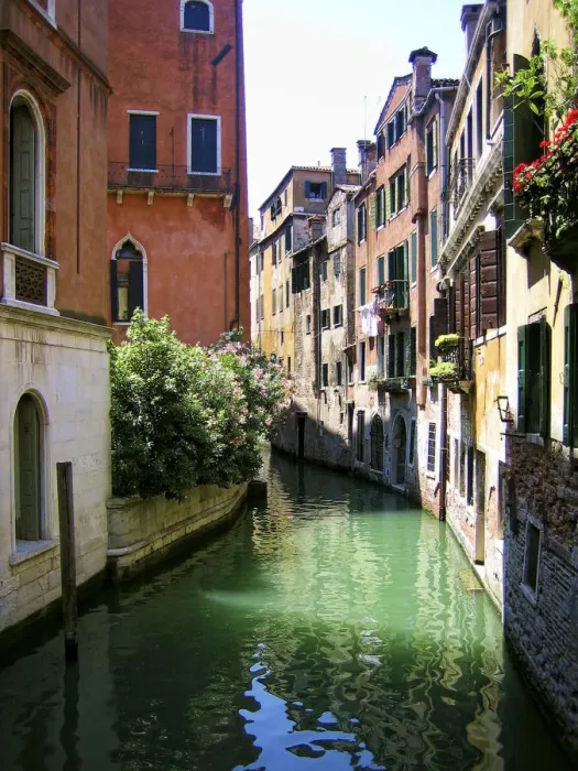Framed Print : Venice Canals Framed Print : Venice Canals