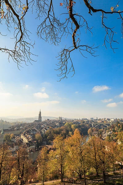 A vertical view over the Old City of Bern with trees at rose garden