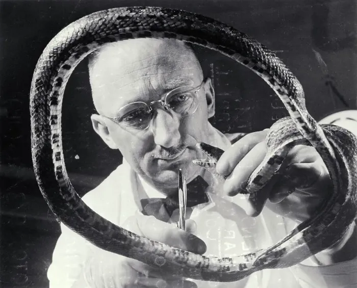 Framed Print : Veterinarian with Snake Framed Print : Veterinarian with Snake