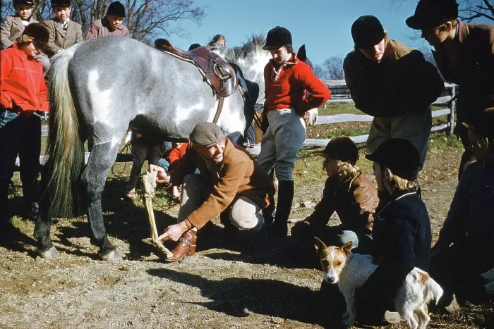 Framed Print : Veterinarian teaches horse anatomy