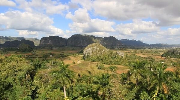 ViAnales Valley, panorama