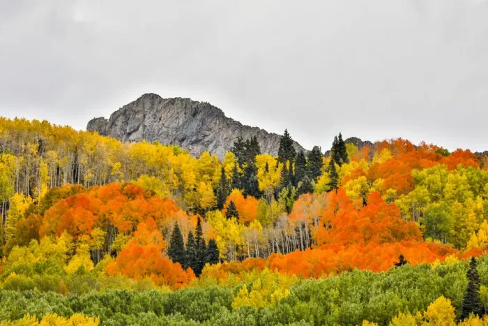 Framed Print : Vibrant Fall Colors, Crested Butte, Colorado, USA Framed Print : Vibrant Fall Colors, Crested Butte, Colorado, USA