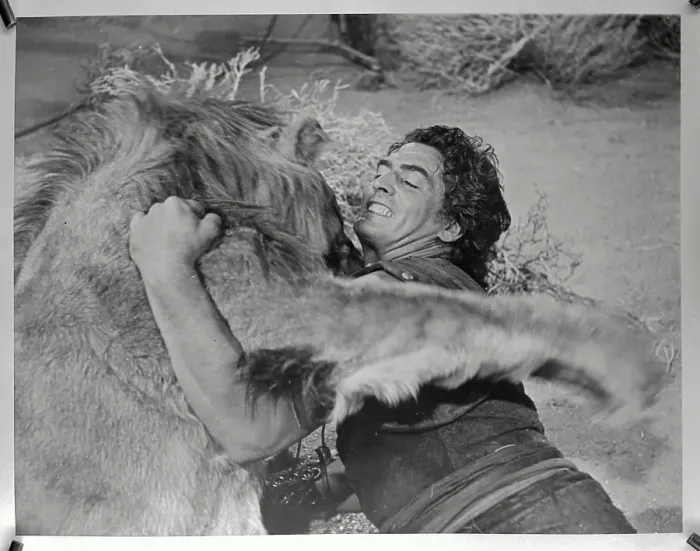 Framed Print : Victor Mature Fighting Lion in Movie Samson and Delilah Framed Print : Victor Mature Fighting Lion in Movie Samson and Delilah