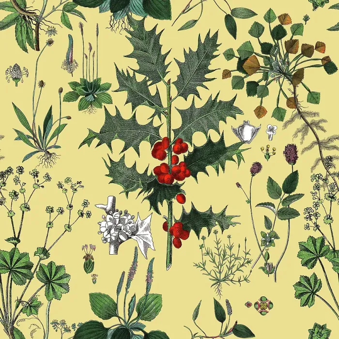 Framed Print : Victorian Botanical, Hand-Colored, Seamless Repeating pattern. Realistic blooming isolated flowers, Vintage fabric background. Beautiful Cottage Garden and wildflowers. Wallpaper baroque. Drawing engraving. Victorian Illustration Framed Print : Victorian Botanical, Hand-Colored, Seamless Repeating pattern. Realistic blooming isolated flowers, Vintage fabric background. Beautiful Cottage Garden and wildflowers. Wallpaper baroque. Drawing engraving. Victorian Illustration