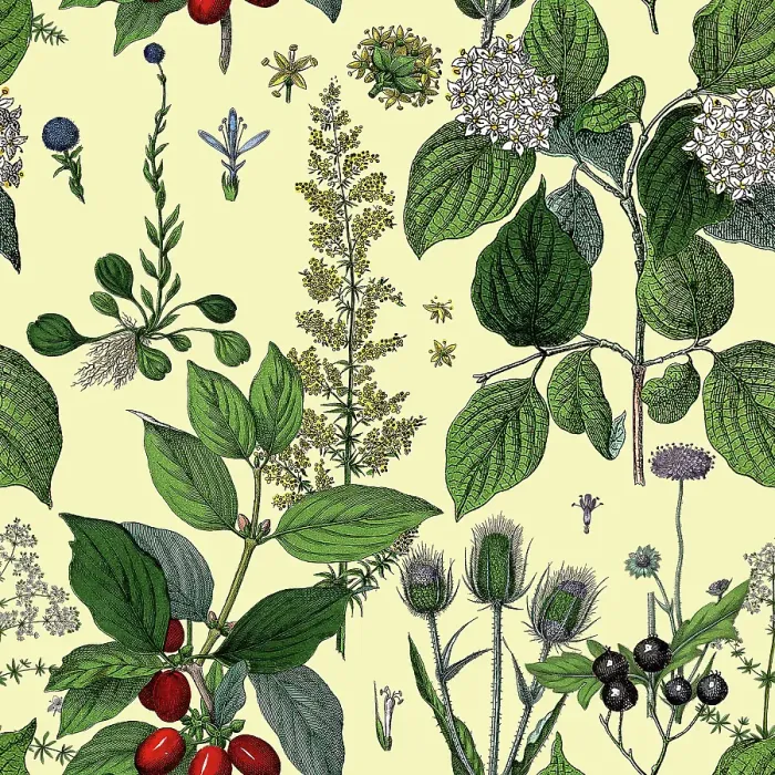 Framed Print : Victorian Botanical, Hand-Colored, Seamless Repeating pattern. Realistic blooming isolated flowers, Vintage fabric background. Beautiful Cottage Garden and wildflowers. Wallpaper baroque. Drawing engraving. Victorian Illustration Framed Print : Victorian Botanical, Hand-Colored, Seamless Repeating pattern. Realistic blooming isolated flowers, Vintage fabric background. Beautiful Cottage Garden and wildflowers. Wallpaper baroque. Drawing engraving. Victorian Illustration