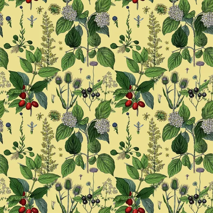 Framed Print : Victorian Botanical, Hand-Colored, Seamless Repeating pattern. Realistic blooming isolated flowers, Vintage fabric background. Beautiful Cottage Garden and wildflowers. Wallpaper baroque. Drawing engraving. Victorian Illustration Framed Print : Victorian Botanical, Hand-Colored, Seamless Repeating pattern. Realistic blooming isolated flowers, Vintage fabric background. Beautiful Cottage Garden and wildflowers. Wallpaper baroque. Drawing engraving. Victorian Illustration