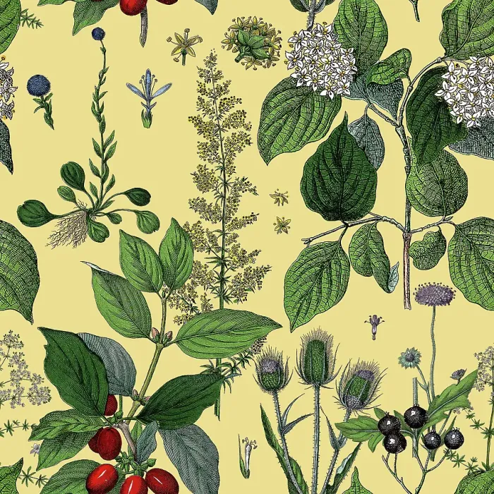 Framed Print : Victorian Botanical, Hand-Colored, Seamless Repeating pattern. Realistic blooming isolated flowers, Vintage fabric background. Beautiful Cottage Garden and wildflowers. Wallpaper baroque. Drawing engraving. Victorian Illustration Framed Print : Victorian Botanical, Hand-Colored, Seamless Repeating pattern. Realistic blooming isolated flowers, Vintage fabric background. Beautiful Cottage Garden and wildflowers. Wallpaper baroque. Drawing engraving. Victorian Illustration