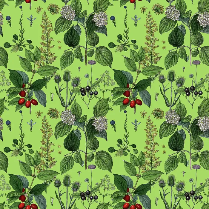 Framed Print : Victorian Botanical, Hand-Colored, Seamless Repeating pattern. Realistic blooming isolated flowers, Vintage fabric background. Beautiful Cottage Garden and wildflowers. Wallpaper baroque. Drawing engraving. Victorian Illustration Framed Print : Victorian Botanical, Hand-Colored, Seamless Repeating pattern. Realistic blooming isolated flowers, Vintage fabric background. Beautiful Cottage Garden and wildflowers. Wallpaper baroque. Drawing engraving. Victorian Illustration