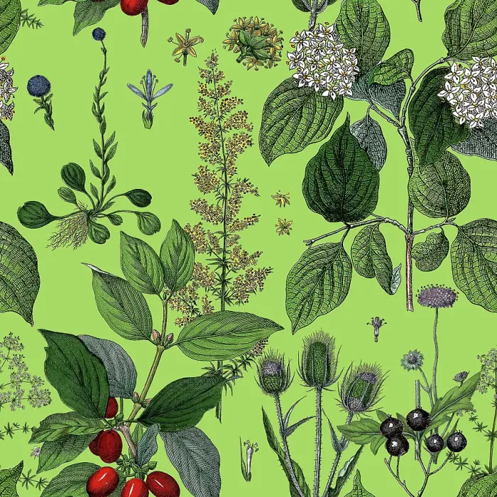 Framed Print : Victorian Botanical, Hand-Colored, Seamless Repeating pattern. Realistic blooming isolated flowers, Vintage fabric background. Beautiful Cottage Garden and wildflowers. Wallpaper baroque. Drawing engraving. Victorian Illustration Framed Print : Victorian Botanical, Hand-Colored, Seamless Repeating pattern. Realistic blooming isolated flowers, Vintage fabric background. Beautiful Cottage Garden and wildflowers. Wallpaper baroque. Drawing engraving. Victorian Illustration
