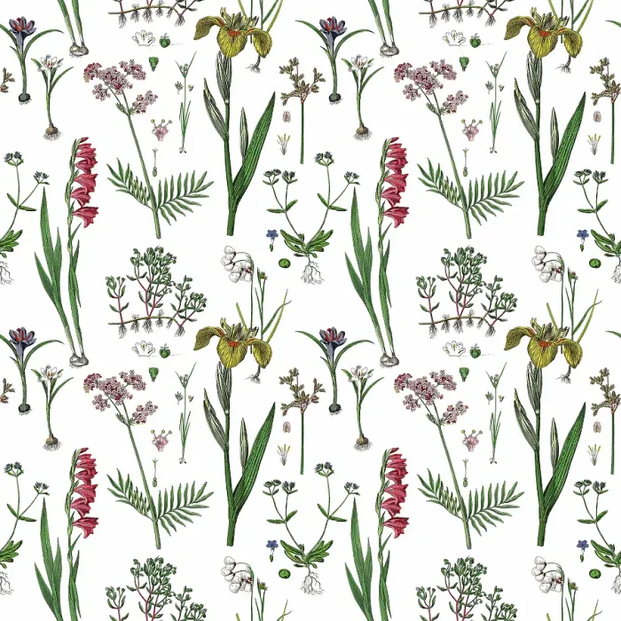 Framed Print : Victorian Botanical, Hand-Colored, Seamless Repeating pattern. Realistic blooming isolated flowers, Vintage fabric background. Beautiful Cottage Garden and wildflowers. Wallpaper baroque. Drawing engraving. Victorian Illustration Framed Print : Victorian Botanical, Hand-Colored, Seamless Repeating pattern. Realistic blooming isolated flowers, Vintage fabric background. Beautiful Cottage Garden and wildflowers. Wallpaper baroque. Drawing engraving. Victorian Illustration