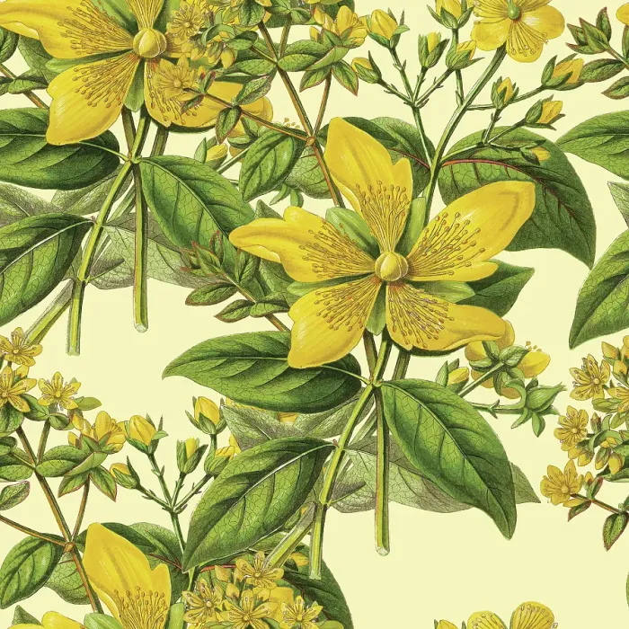 Framed Print : Victorian Botanical, Hand-Colored, Seamless Repeating pattern. Realistic blooming isolated flowers, Vintage fabric background. Beautiful Cottage Garden and wildflowers. Wallpaper baroque. Drawing engraving. Victorian Illustration Framed Print : Victorian Botanical, Hand-Colored, Seamless Repeating pattern. Realistic blooming isolated flowers, Vintage fabric background. Beautiful Cottage Garden and wildflowers. Wallpaper baroque. Drawing engraving. Victorian Illustration