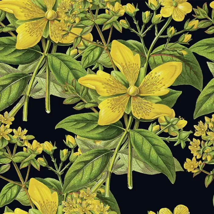Framed Print : Victorian Botanical, Hand-Colored, Seamless Repeating pattern. Realistic blooming isolated flowers, Vintage fabric background. Beautiful Cottage Garden and wildflowers. Wallpaper baroque. Drawing engraving. Victorian Illustration Framed Print : Victorian Botanical, Hand-Colored, Seamless Repeating pattern. Realistic blooming isolated flowers, Vintage fabric background. Beautiful Cottage Garden and wildflowers. Wallpaper baroque. Drawing engraving. Victorian Illustration