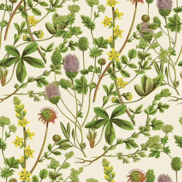 Framed Print : Victorian Botanical, Hand-Colored, Seamless Repeating pattern. Realistic blooming isolated flowers, Vintage fabric background. Beautiful Cottage Garden and wildflowers. Wallpaper baroque. Drawing engraving. Victorian Illustration Framed Print : Victorian Botanical, Hand-Colored, Seamless Repeating pattern. Realistic blooming isolated flowers, Vintage fabric background. Beautiful Cottage Garden and wildflowers. Wallpaper baroque. Drawing engraving. Victorian Illustration