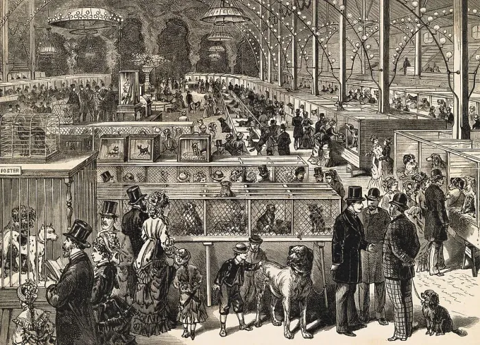 Framed Print : Victorian Dog Show Framed Print : Victorian Dog Show